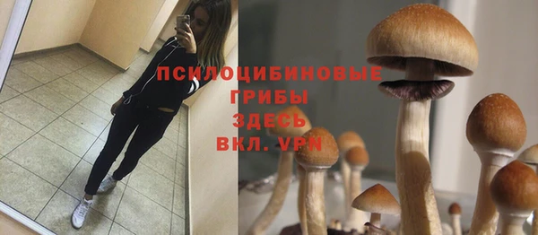 альфа пвп Богородицк