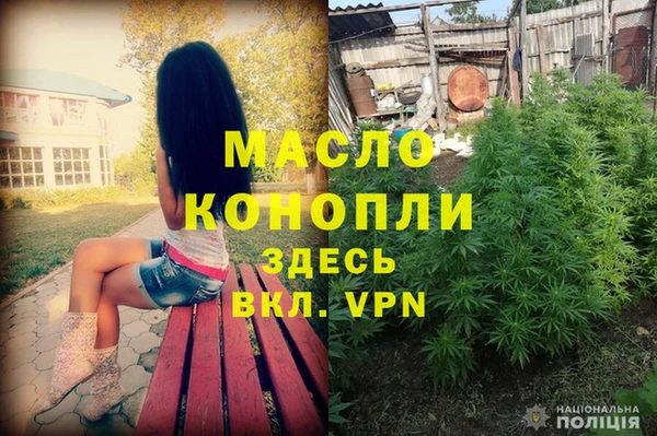 spice Богородск