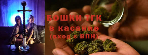 spice Богородск