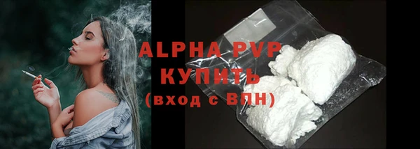 spice Богородск
