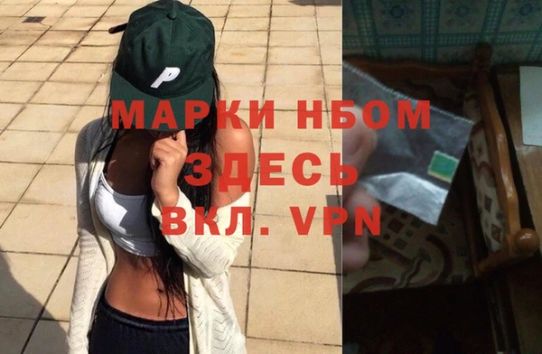 хмурый Сосновый Бор